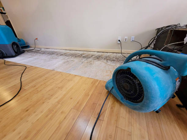 Professional Basement Flood Cleanup technician working in Osgood, OH